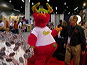 DSCN5431.JPG